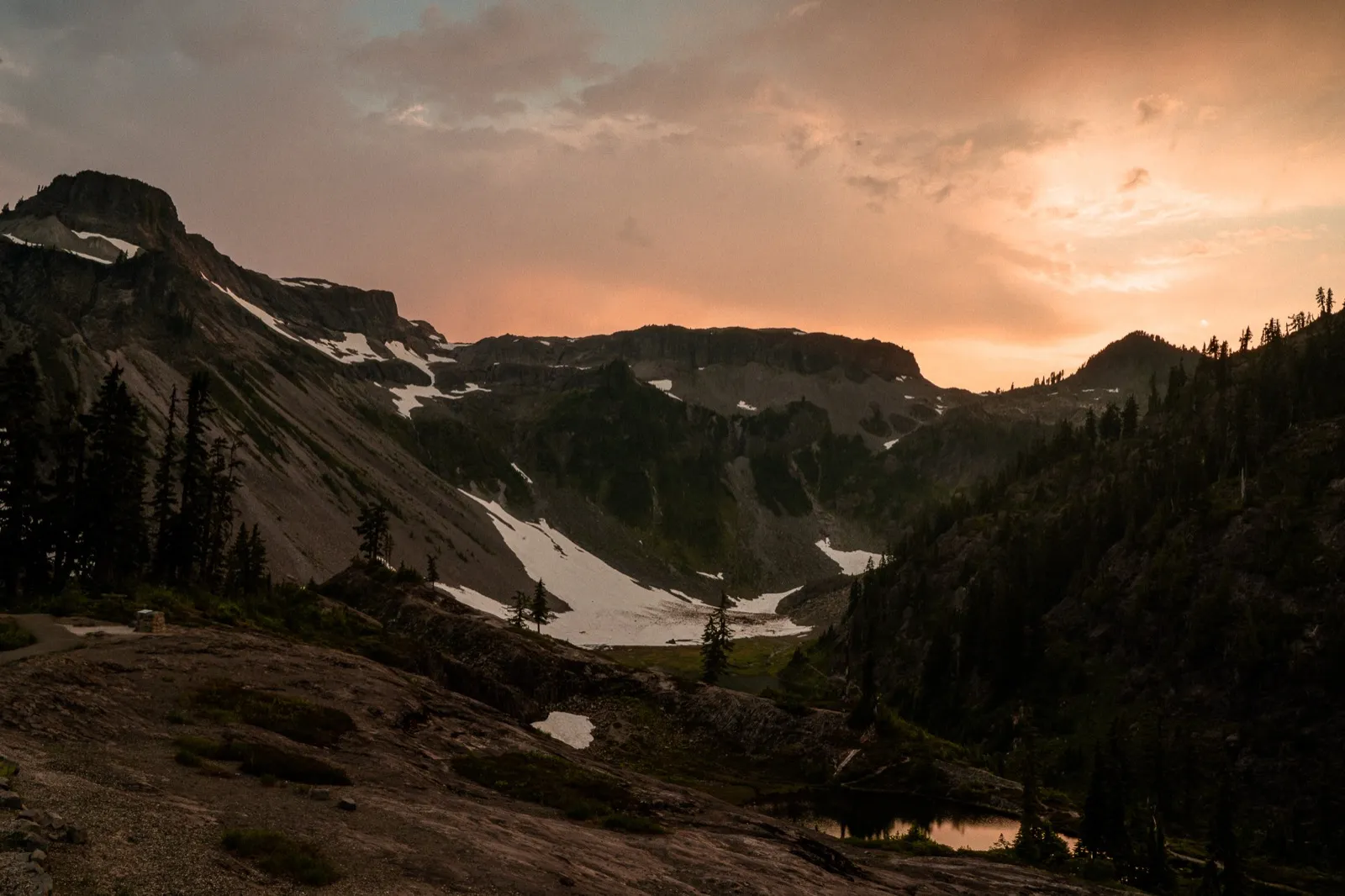 Predator & Hog Hunting: The Complete Guide