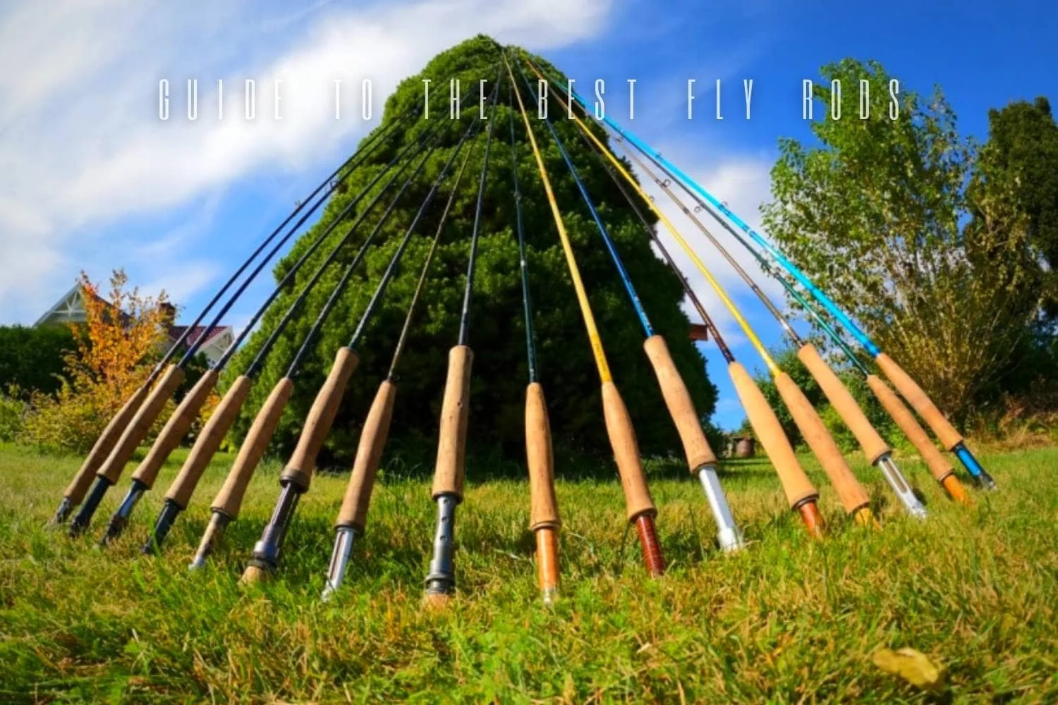 Best Fly Rods (2026): Tested & Ranked by Weight