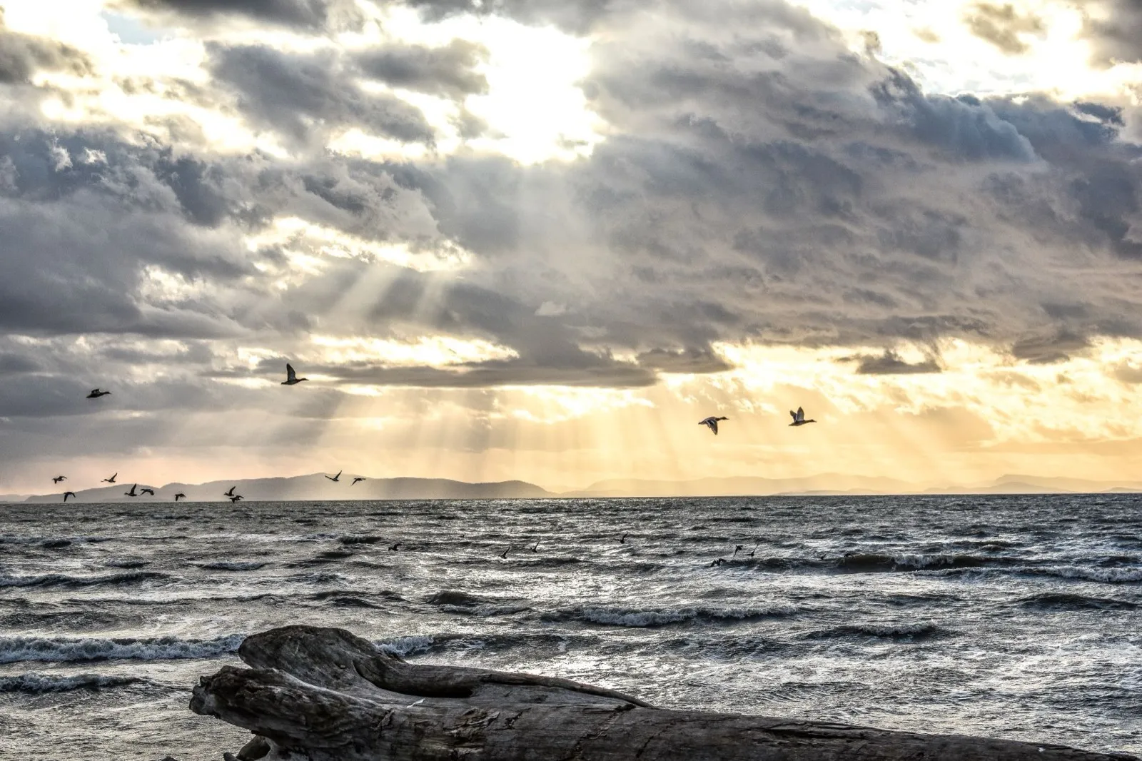 How Hunters Fund Conservation: $1.1 Billion Annually in Pittman-Robertson