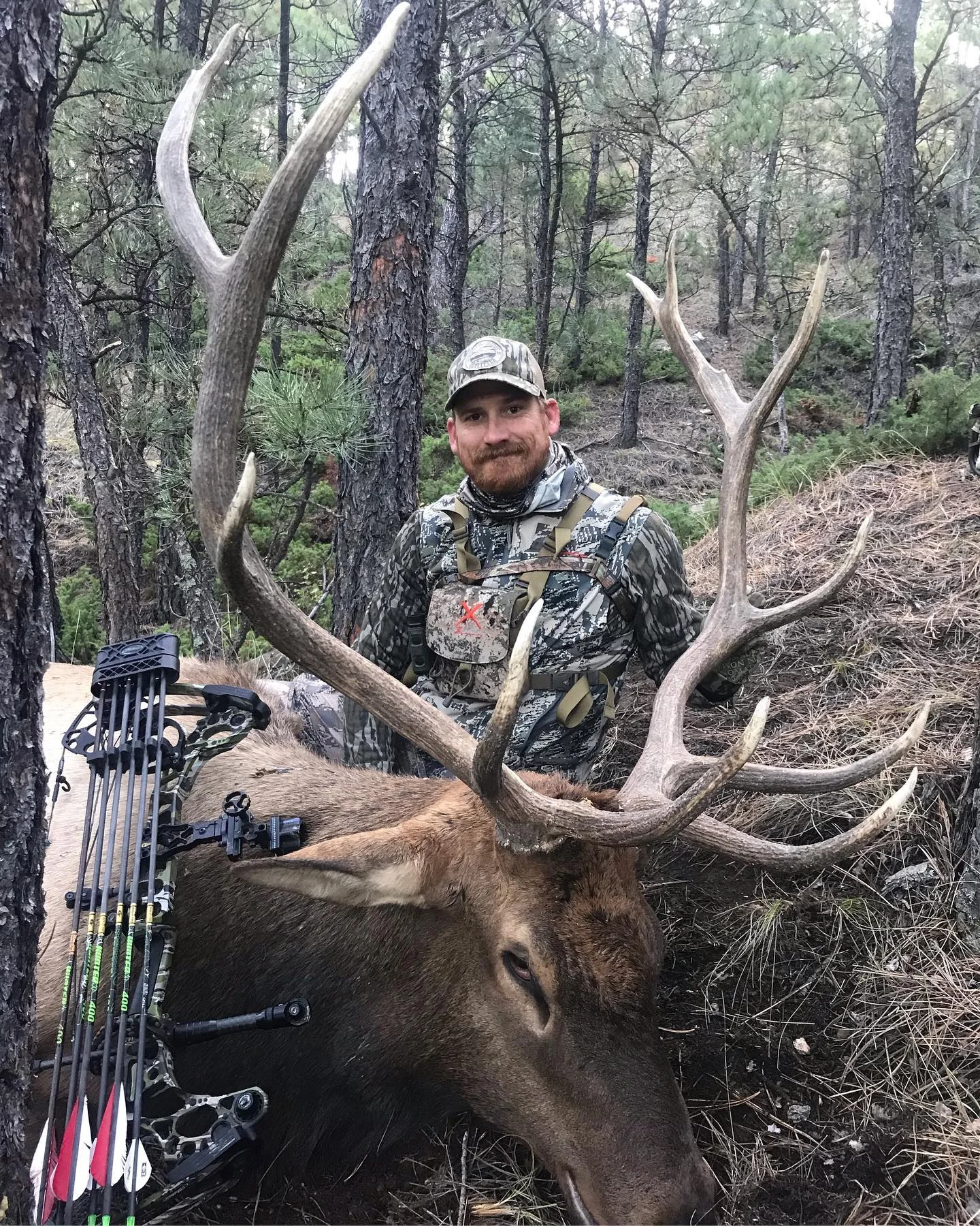 Elk Hunting Trips: Everything You Need to Know Before Booking