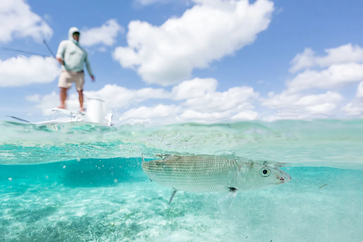 Fishing the Bahamas: Your Complete Guide