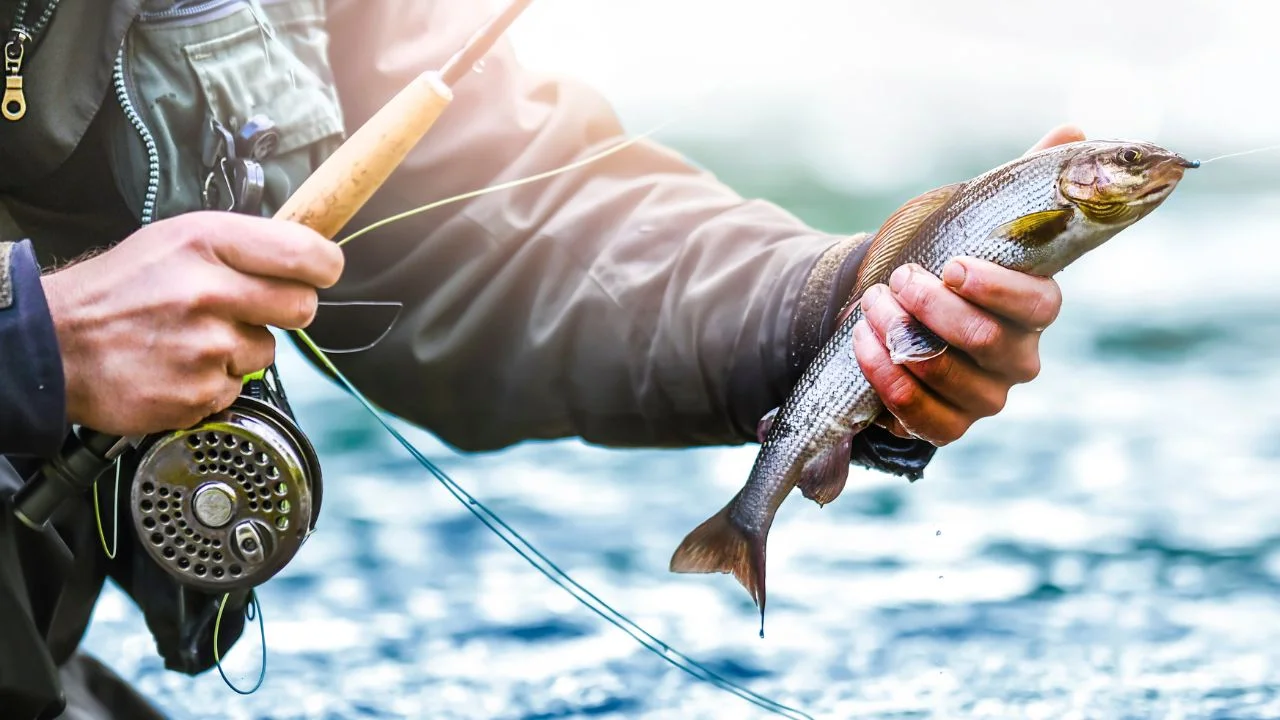 Fly Fishing vs Conventional Fishing: When to Use Each