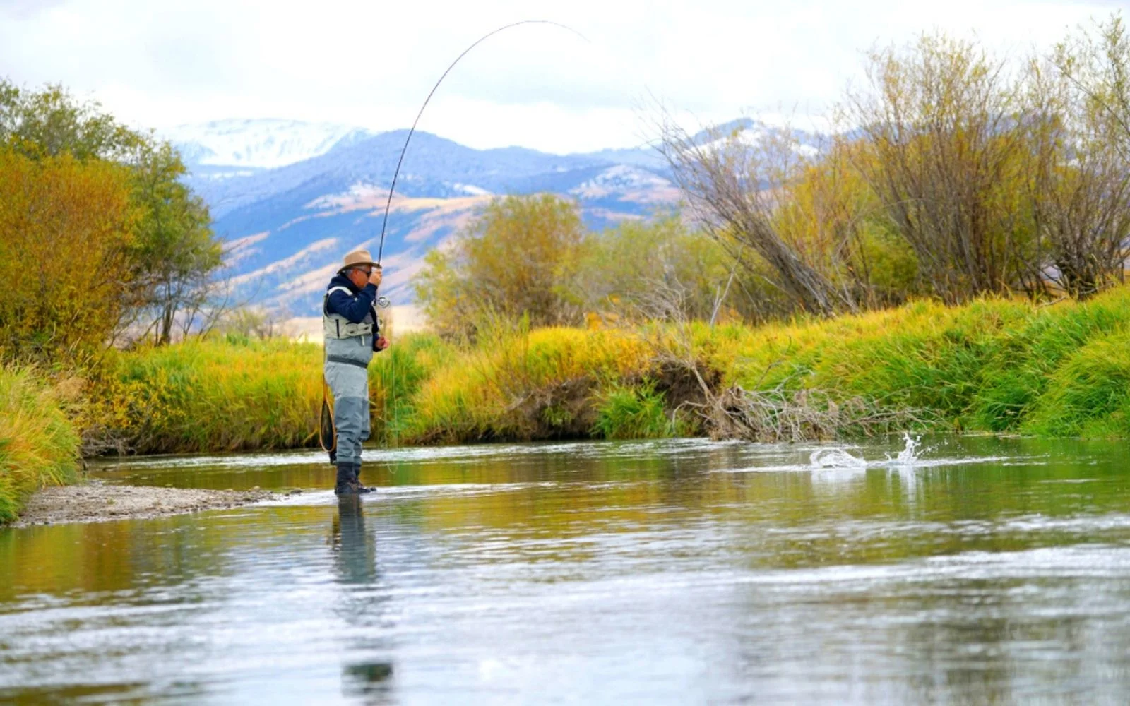 Montana Fly Fishing: The Definitive Guide to Rivers, Hatches & Lodges