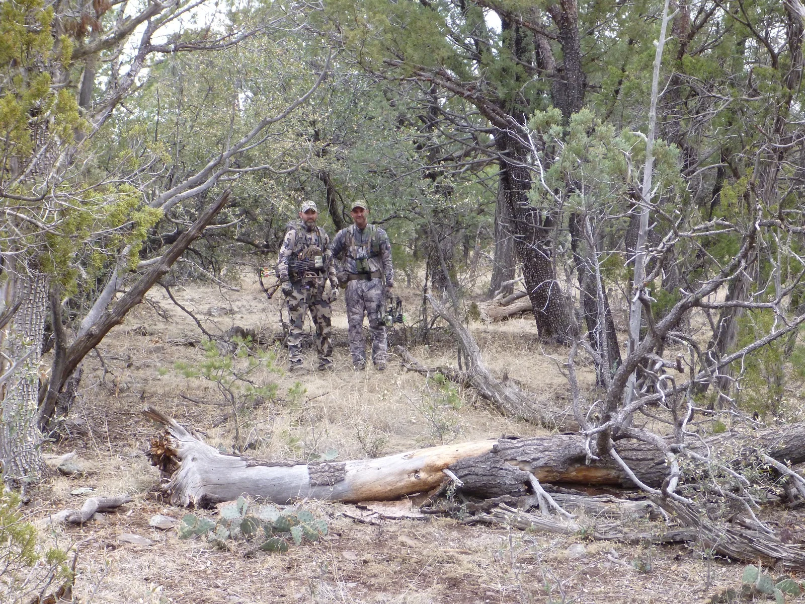 Sitka vs KUIU vs First Lite: The Premium Hunting Apparel Showdown