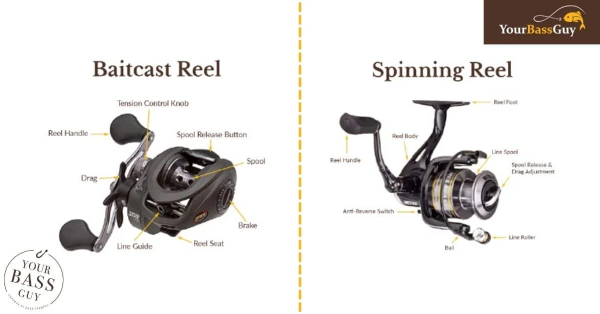 Spinning vs Baitcasting: The Complete Comparison