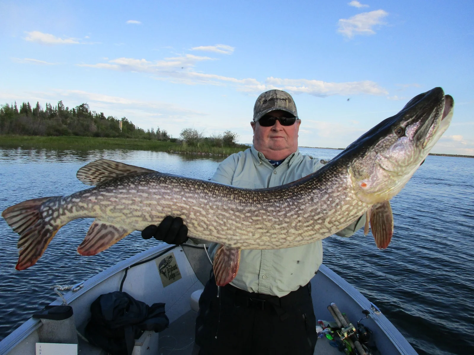 World Record Fish: Complete IGFA All-Tackle Records, Size Thresholds & Trophy Standards