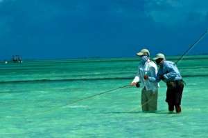 Bonefishing - Christmas Island — Bonefishing in Christmas Island