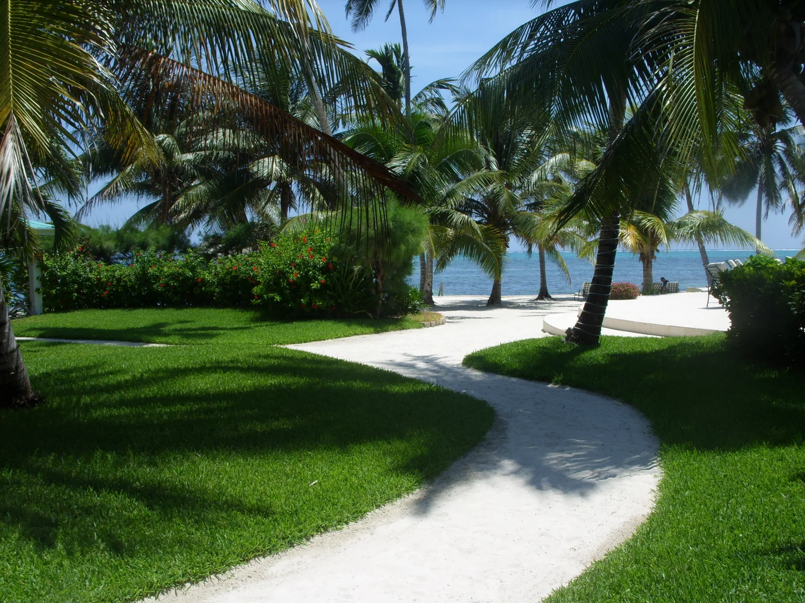 Bonefishing - Victoria House