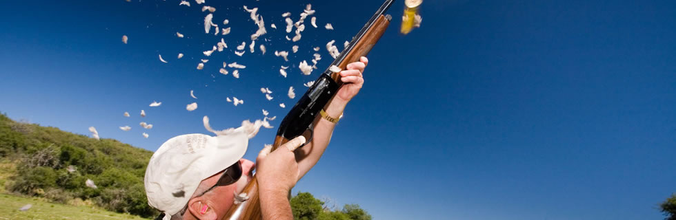 Dove Hunt - Cordoba