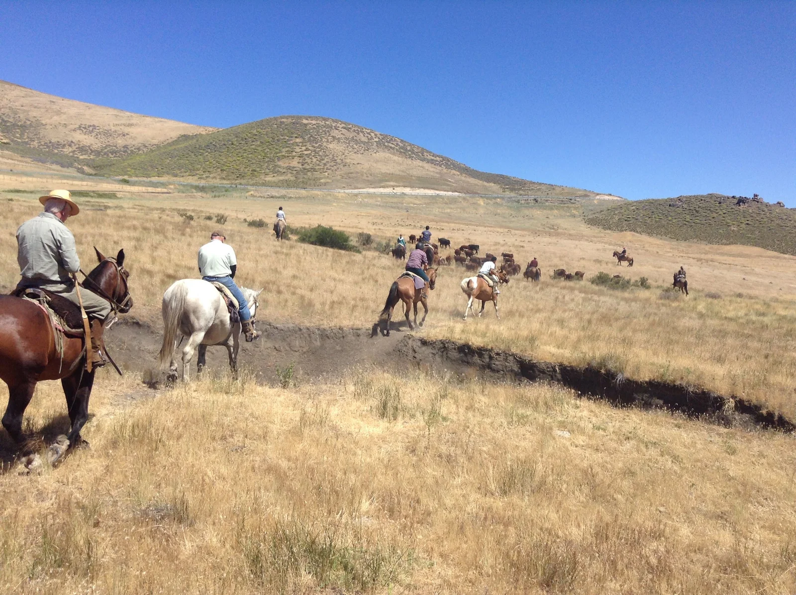 Estancia Huechahue, Argentina