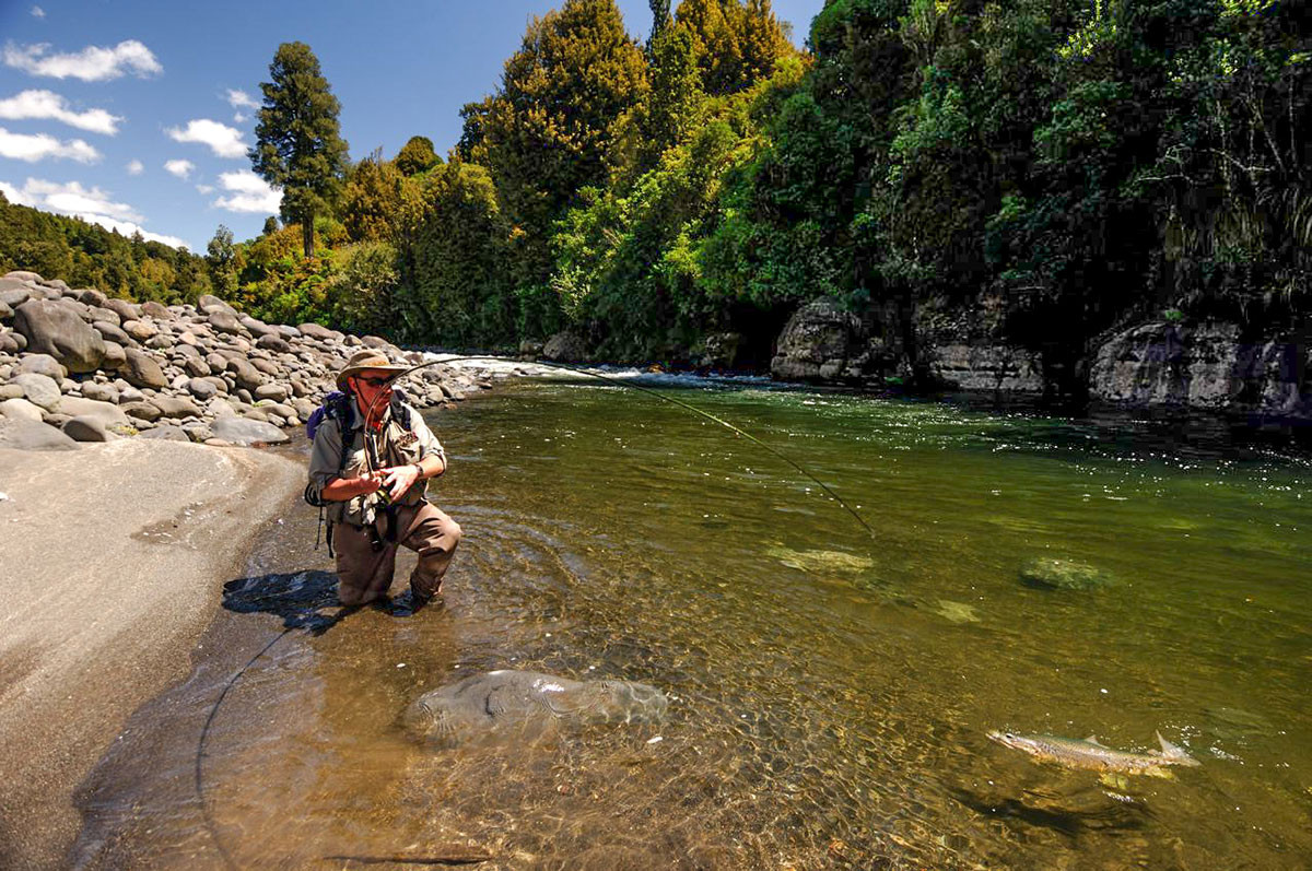 Fly Fishing - New Zealand