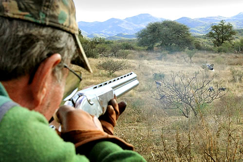 Hunting - Argentina