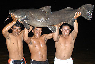 Peacock Bass Fishing - Brazil