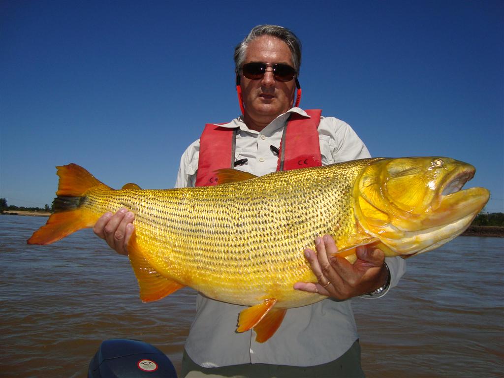 Permit Fishing - Concordia  Argentina
