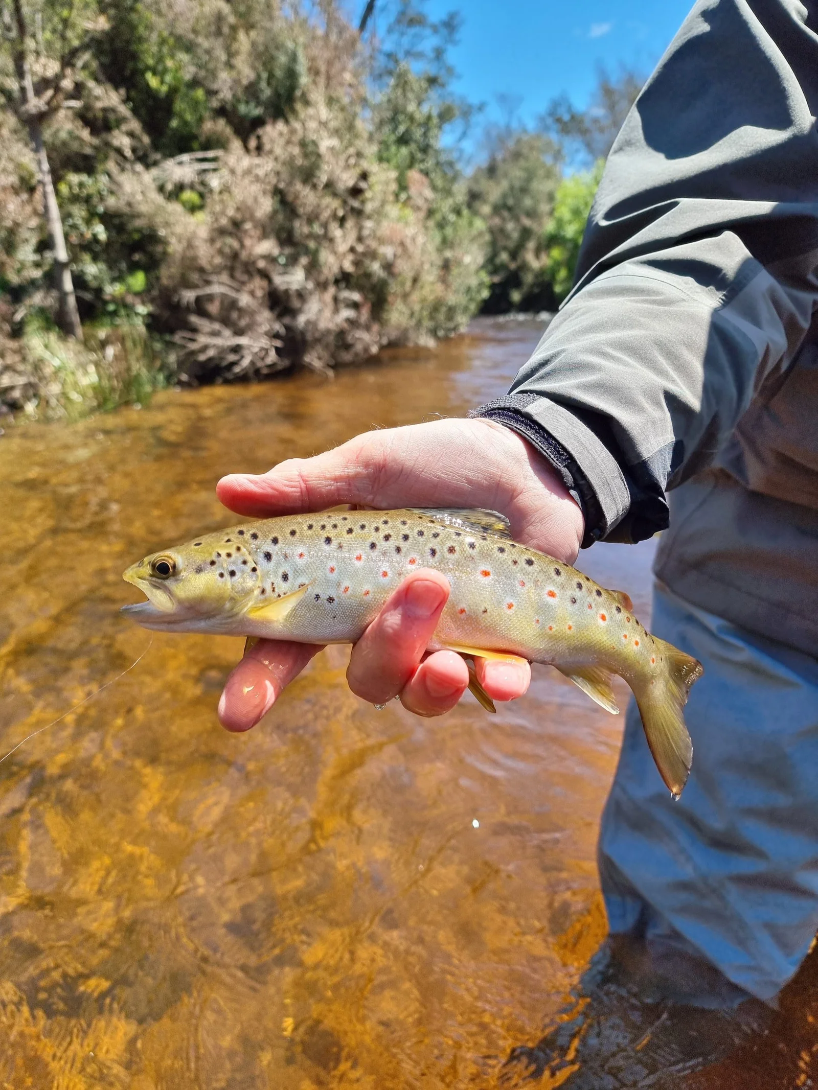 Salmon Fishing - Tasmania