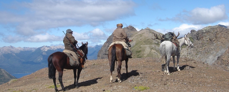 Stag Hunt - Argentina