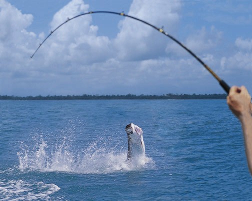 Tarpon Fishing - Rio Parismina