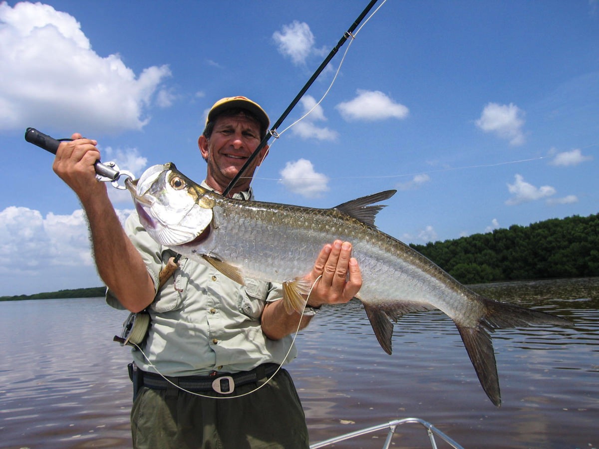 Tarpon Fishing - Tarpon Bay