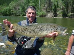 Trout Fishing - (Aotearoa) New Zealand