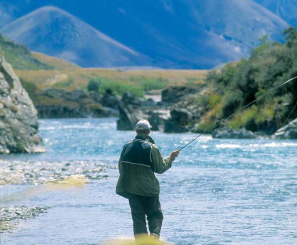 Trout Fishing - New Zealand