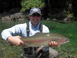 Trout Fishing - North New Zealand