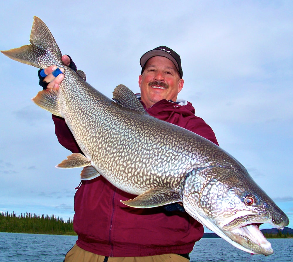 Trout Fishing - Northwest Territory