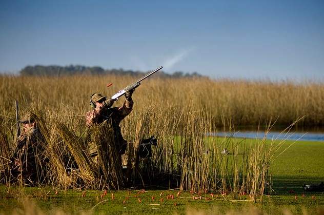 Waterfowl Hunt - Argentina