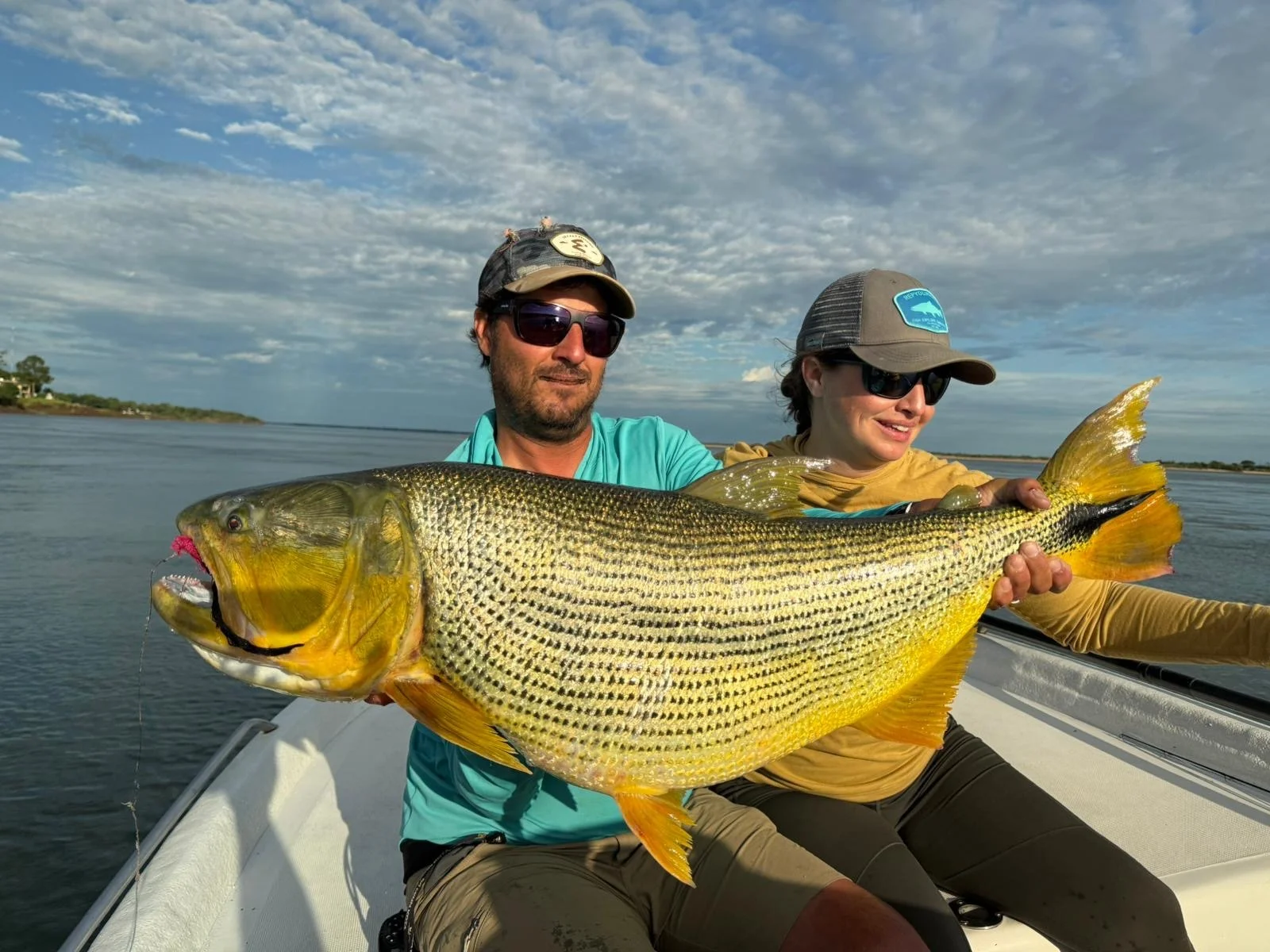Golden Dorado