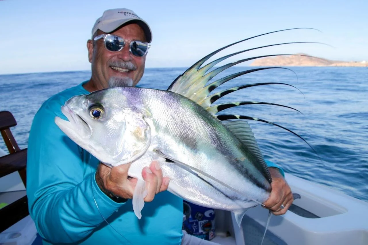 Roosterfish