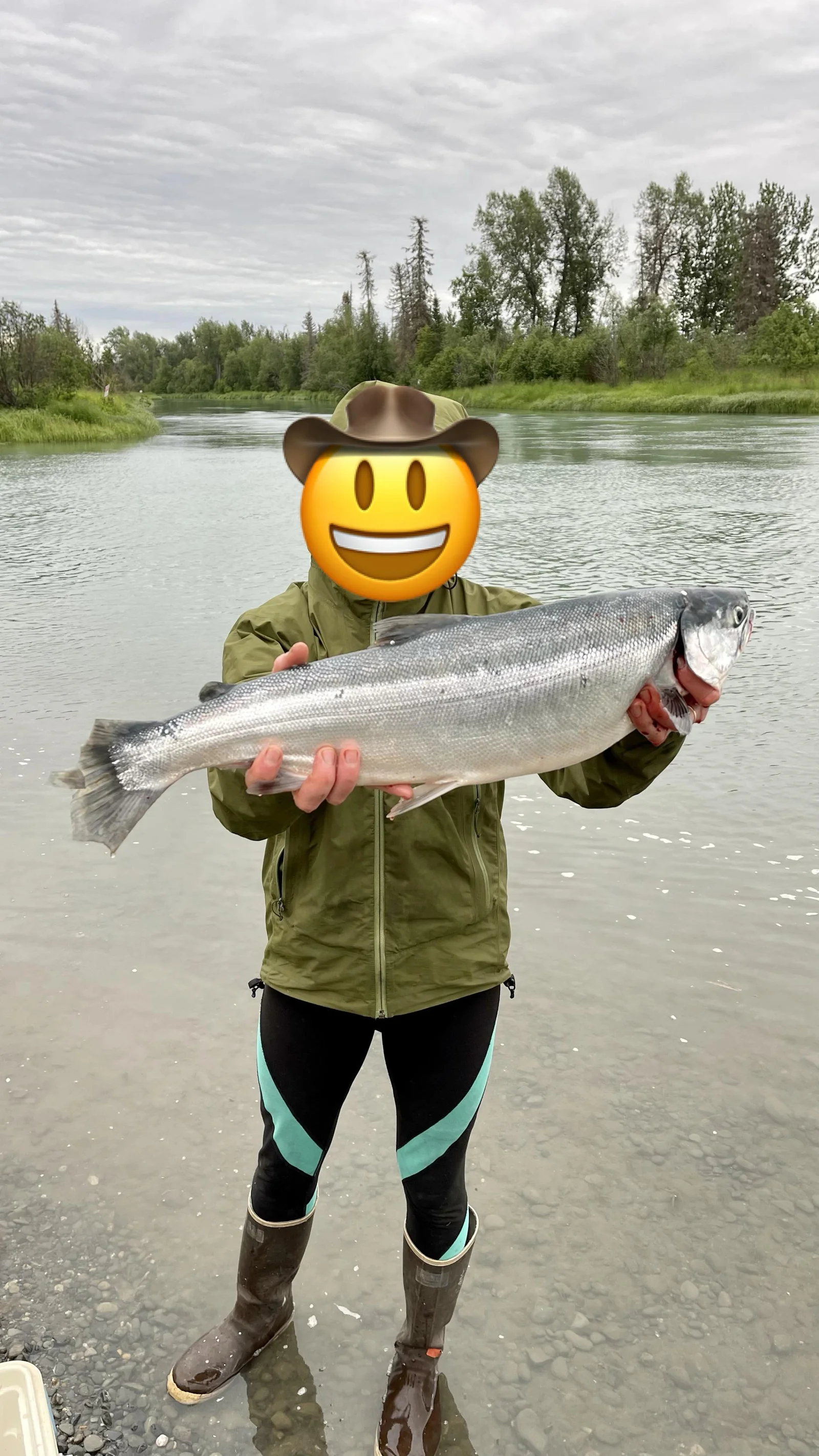 Sockeye Salmon